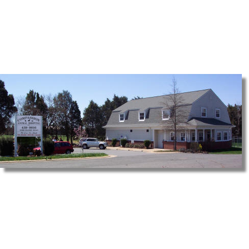 Compassion Animal Hospital | 11088 Marsh Rd, Bealeton, VA 22712, USA | Phone: (540) 439-9016