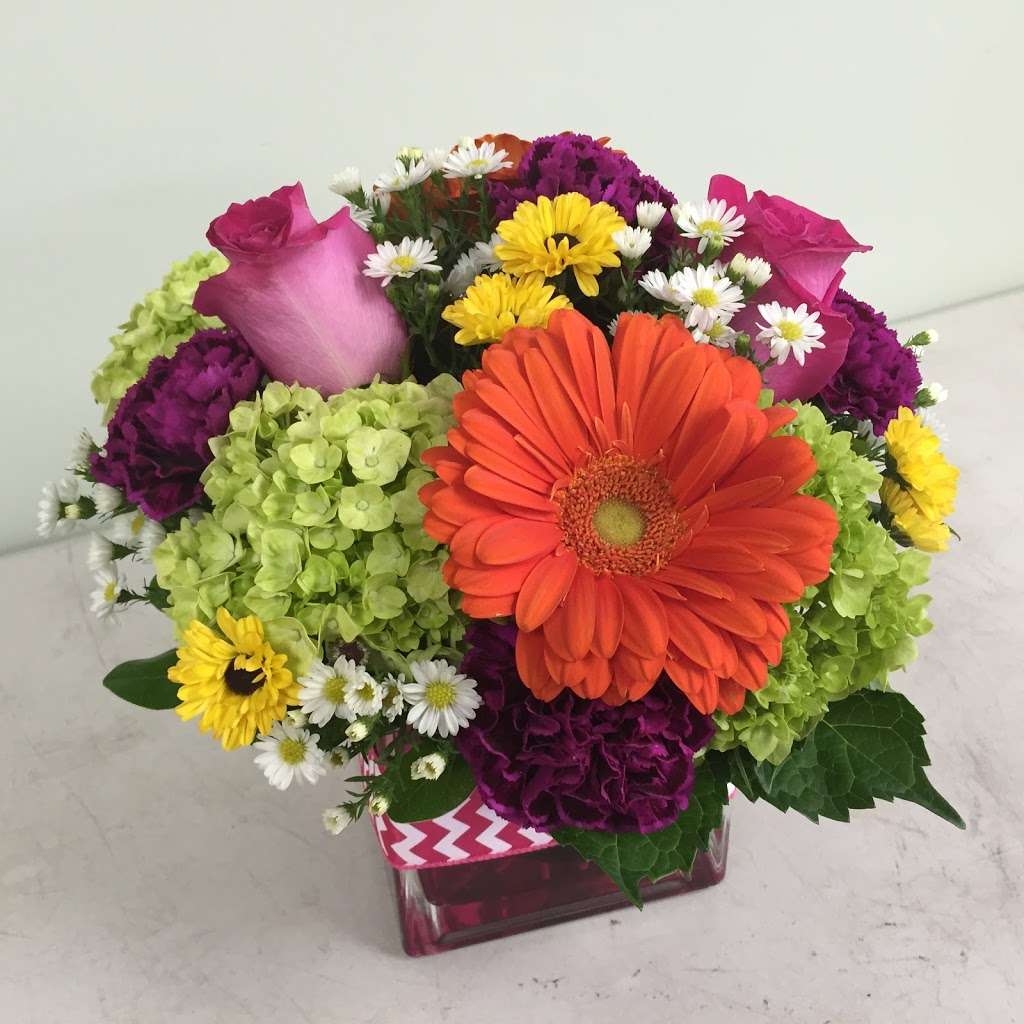 Cape Winds Florist | 860 Broadway, Cape May, NJ 08204, USA | Phone: (609) 884-1865