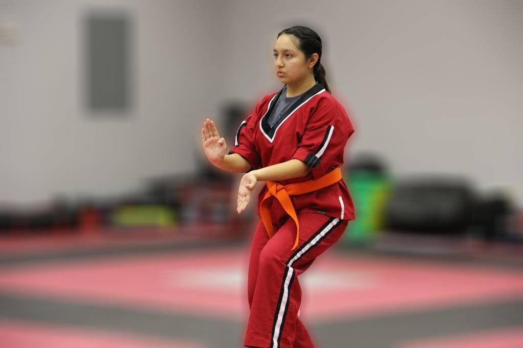 Gonzalez Karate Academy | 604 Shiloh Dr Suite #4, Laredo, TX 78045, USA | Phone: (956) 251-4314