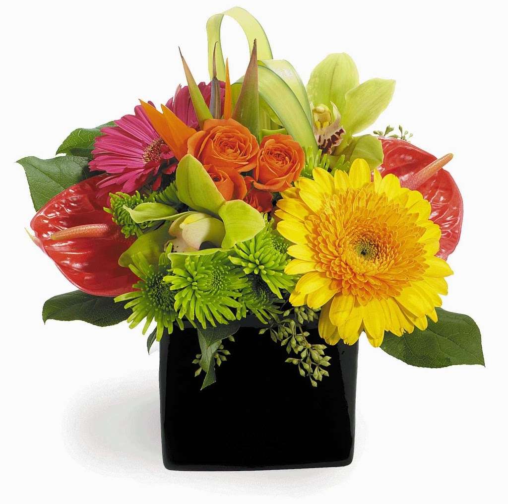 Matlack Florist | 210 N Chester Rd, West Chester, PA 19380, USA | Phone: (610) 431-3077
