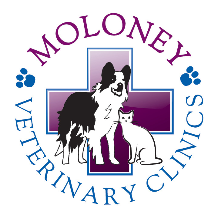 Moloney Veterinary Clinics | Takeley Business Centre, Dunmow Rd, Takeley, Bishops Stortford CM22 6SJ, UK | Phone: 01279 874845