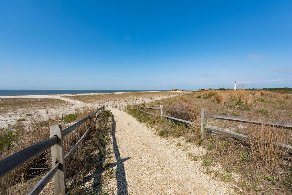 Cape May Wetlands State Natural Area | Cape May, NJ 08204, USA