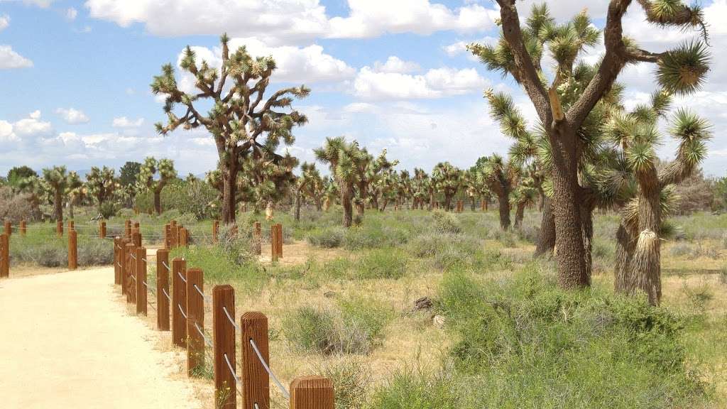 Prime Desert Woodland Preserve | 43201 35th St W, Lancaster, CA 93536 | Phone: (661) 723-5928