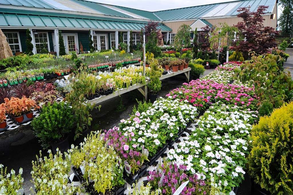 Franks Garden Center & Hawkins Signature Landscapes | 12205 Annapolis Rd, Bowie, MD 20720 | Phone: (301) 390-6274