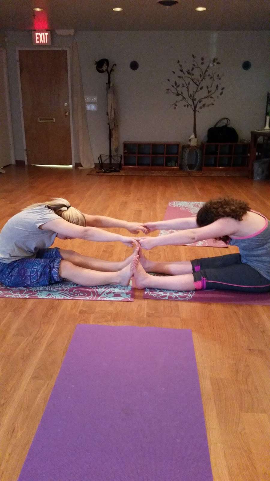 Rae of Light Yoga Studio | 2330 NY-32, New Windsor, NY 12553, USA | Phone: (845) 527-3802