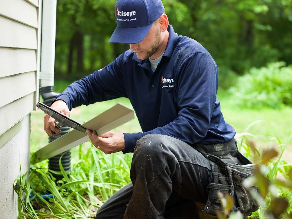 Catseye Pest Control - Hopkinton, MA | 15 Avenue E, Hopkinton, MA 01748, USA | Phone: (978) 748-1100