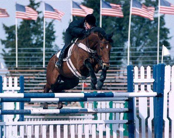 Misty Brae Farm LLC and Pony Club Riding Center | 40295 New Rd, Aldie, VA 20105, USA | Phone: (703) 403-6422