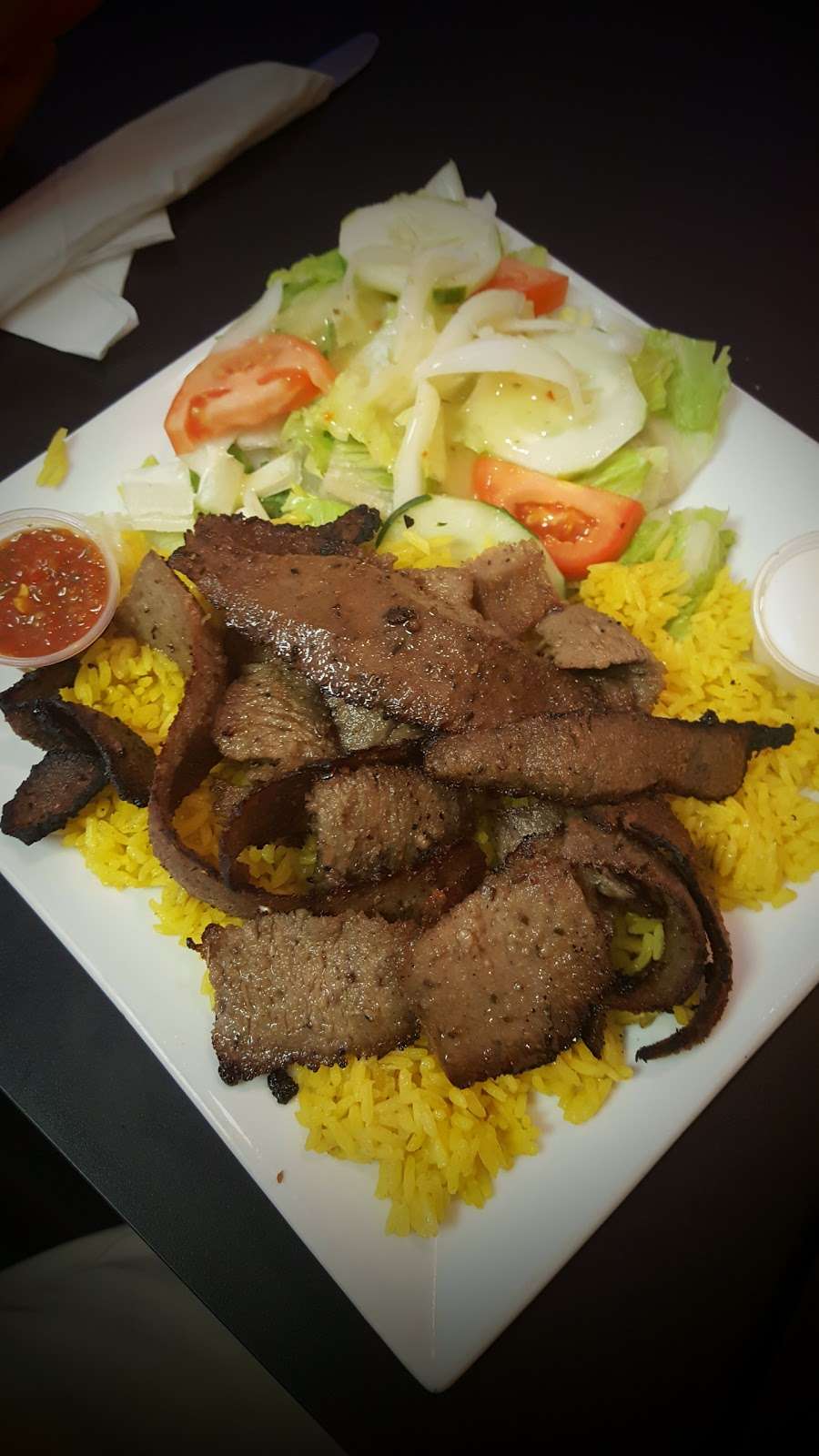 Oasis Kebab Restaurant | 11 Salem Village Square, Newark, DE 19713, USA | Phone: (302) 533-6152