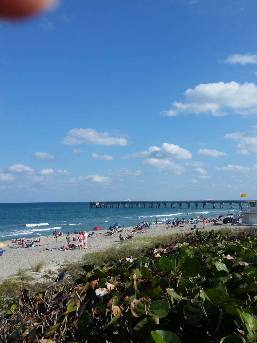 Juno Dog Beach | 48 Ocean Blvd, Jupiter, FL 33477, USA