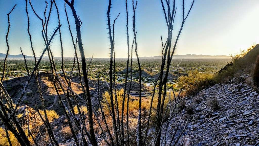 Phoenix Mountains Park | 2701 E Squaw Peak Dr, Phoenix, AZ 85016, USA | Phone: (602) 261-8318