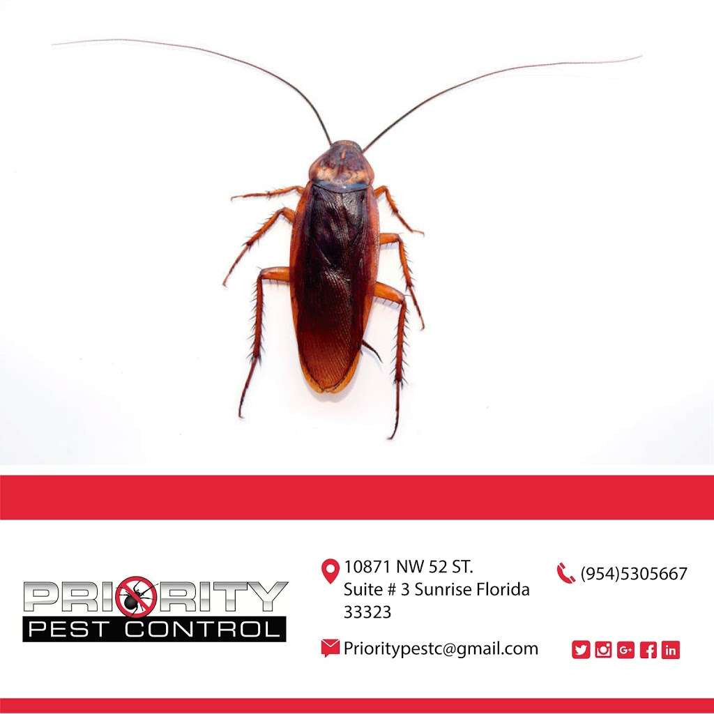 Priority Pest Control | 10871 NW 52nd St Suite 3, Sunrise, FL 33323 | Phone: (954) 530-5667