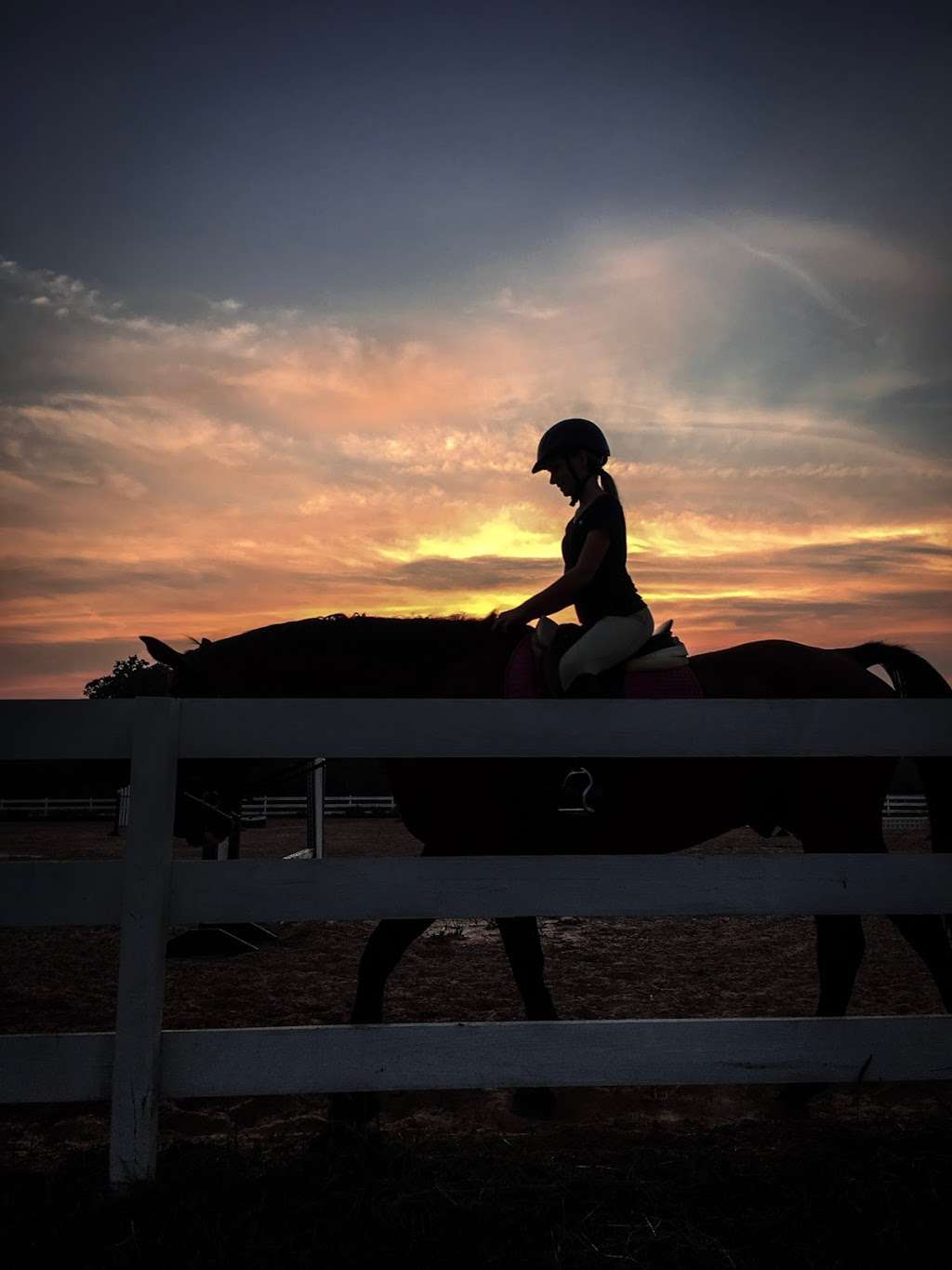 Lone Star Riding School | 20993-21105 FM 362, Waller, TX 77484, USA | Phone: (281) 684-0275