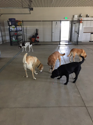 Rocky Mountain Kennels | 1066 Co Rd 32, Longmont, CO 80504, USA | Phone: (303) 651-3647