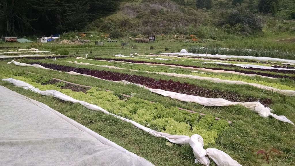 Green Gulch Farm Zen Center | 1601 Shoreline Hwy, Muir Beach, CA 94965 | Phone: (415) 383-3134