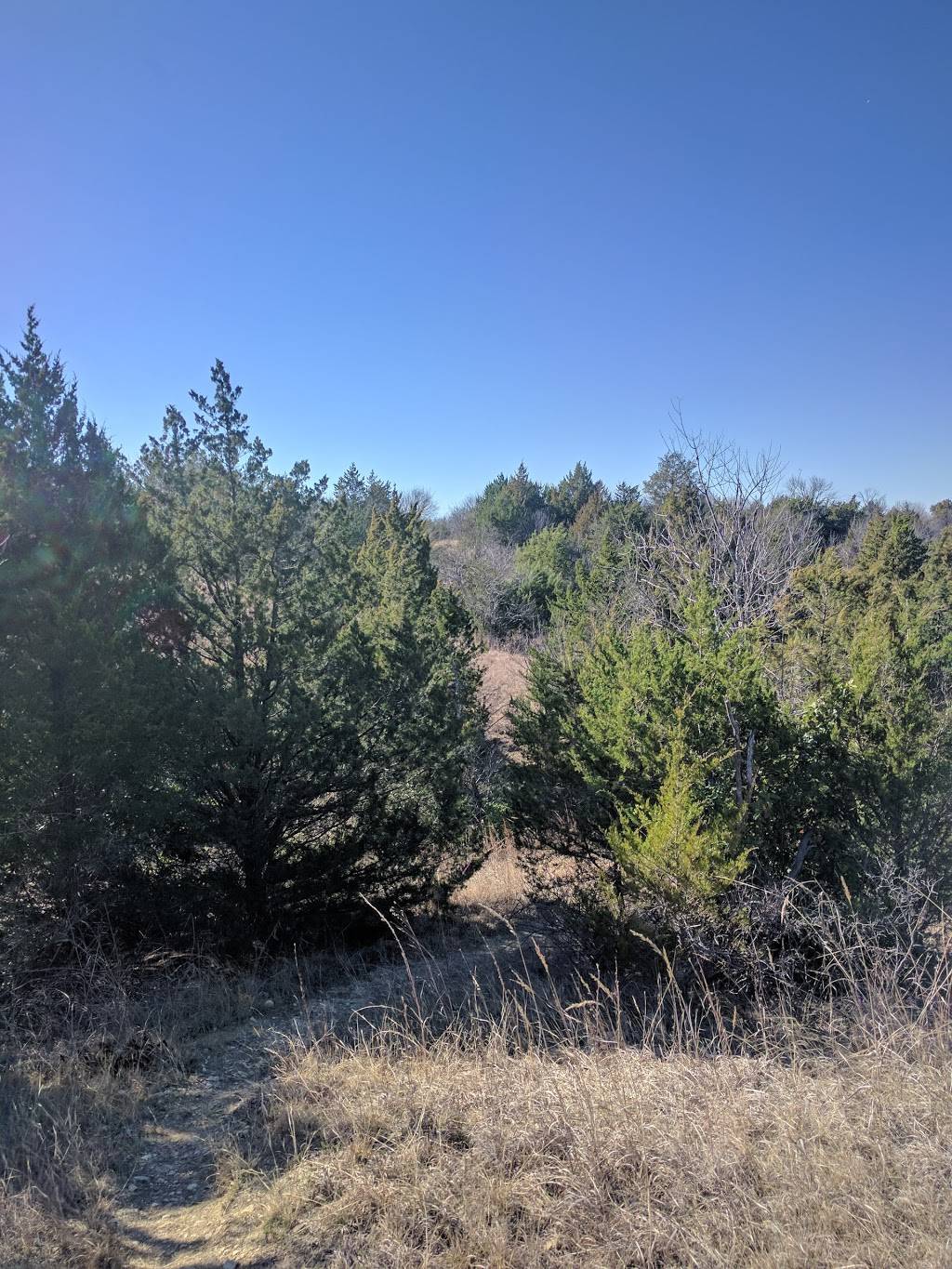 Tandy Hills Natural Area / Stratford Nature Area | 3225 View St, Fort Worth, TX 76103, USA | Phone: (817) 731-2787