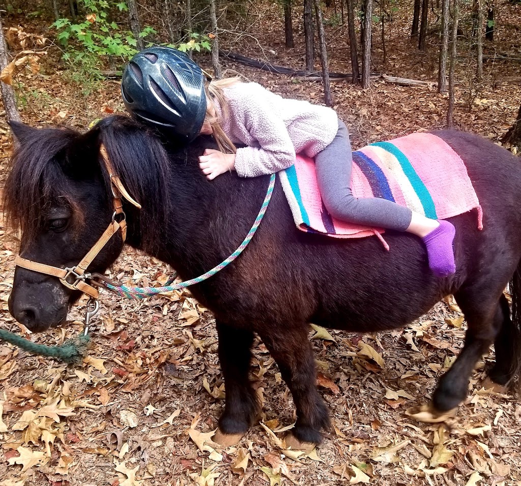 Haven Hills Equestrian Center | 7580 Rivertown Rd #2403, Fairburn, GA 30213, USA | Phone: (404) 877-8571