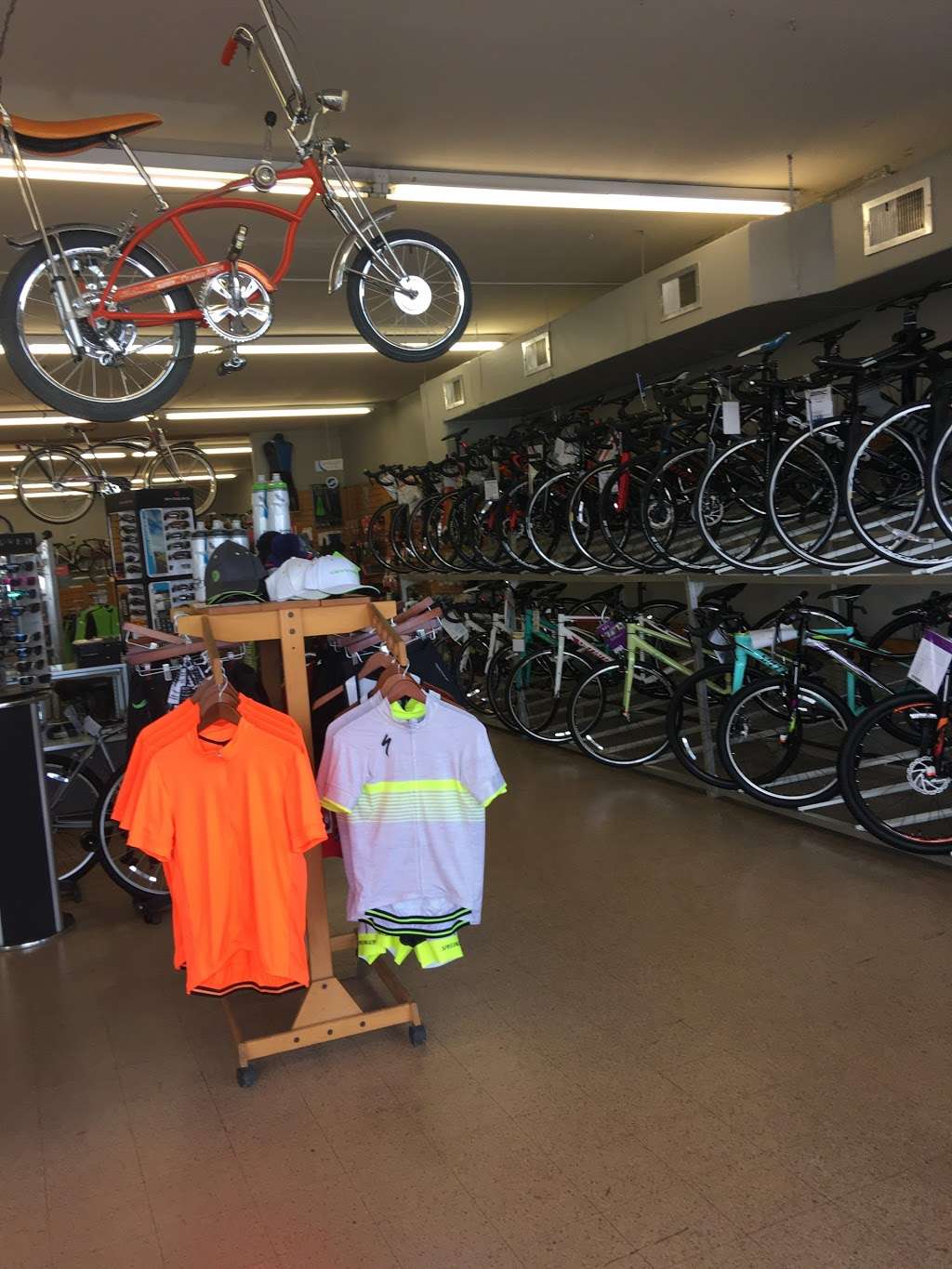 Bay Area Cycling - Pasadena | 2049 S Richey St, Pasadena, TX 77502 | Phone: (713) 472-6651