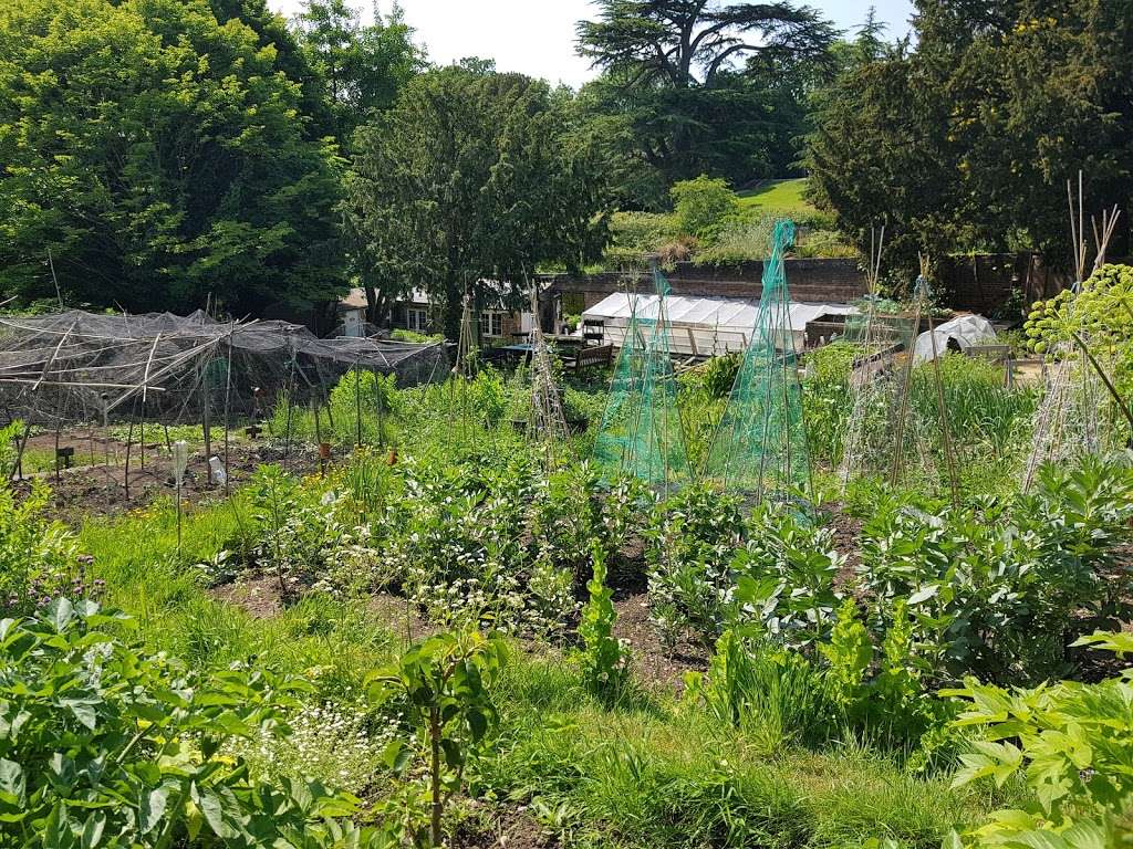 Streatham Common Community Garden | London SW16 3BY, UK