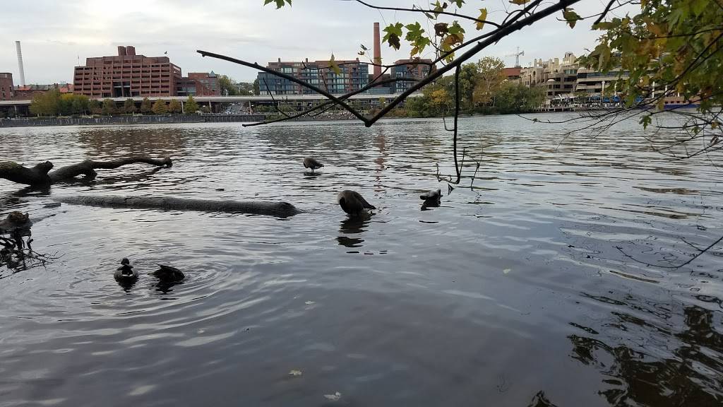 Theodore Roosevelt Island Parking | Theodore Roosevelt Island Park, Washington, DC 20001, USA | Phone: (703) 289-2500