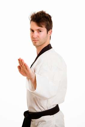 Martial Arts USA | 11010 W 179th St, Orland Park, IL 60467, USA | Phone: (708) 995-7974