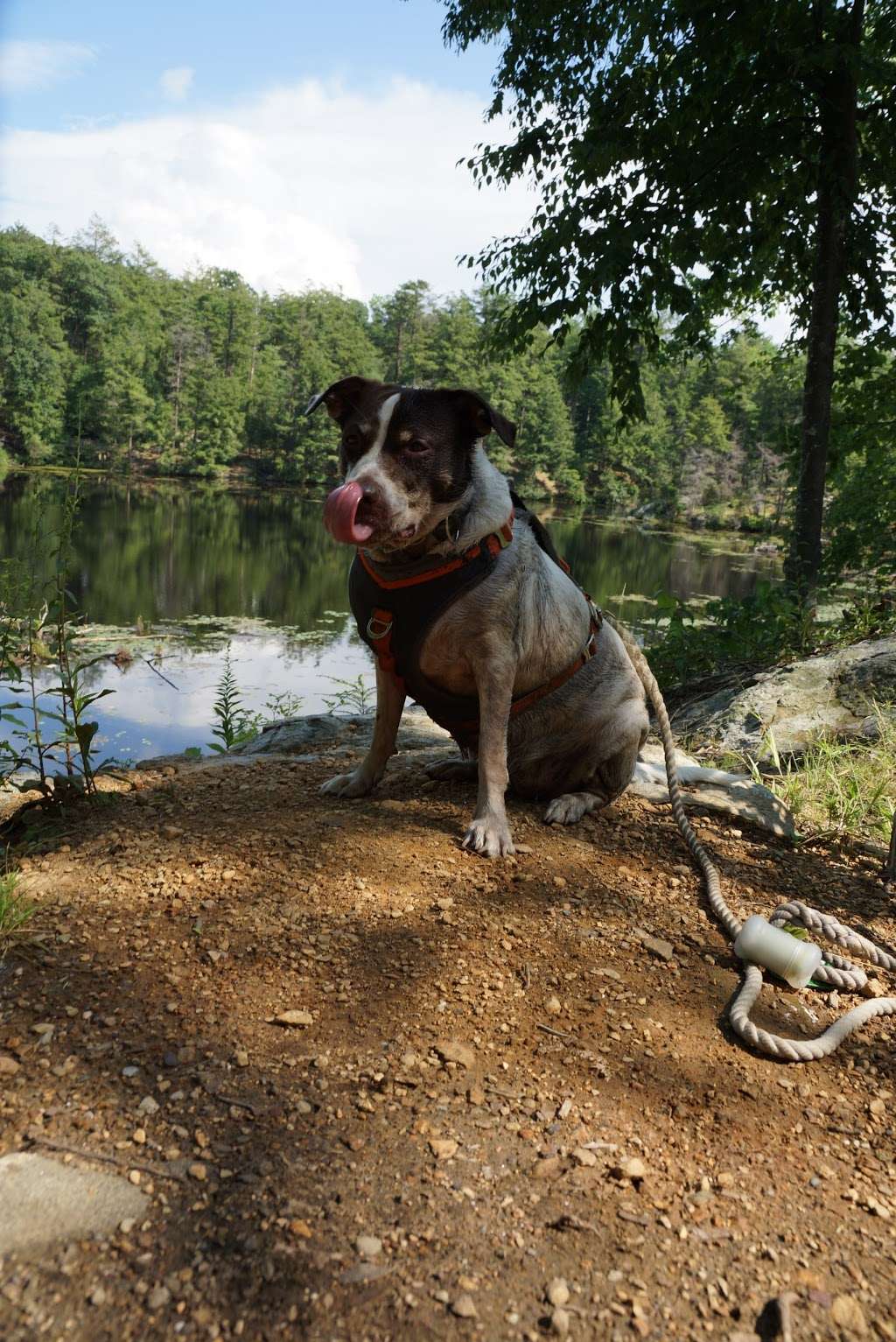 Pelton Pond - Fahnestock State Park | 1088 Cold Spring Turnpike, Hopewell Junction, NY 12533 | Phone: (845) 225-7207