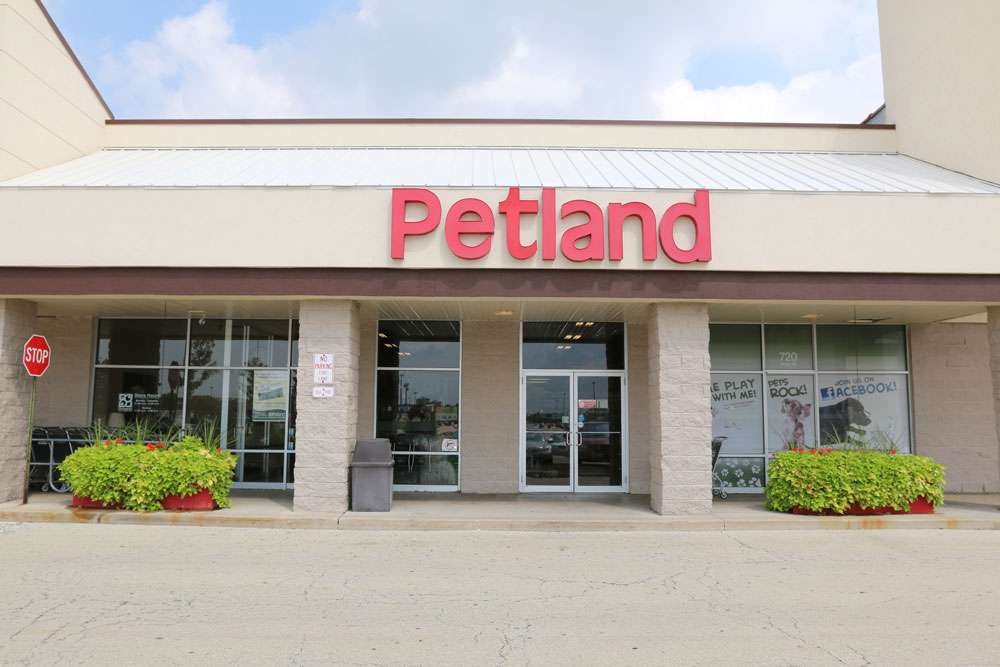 Petland Naperville | 720 IL-59 #112, Naperville, IL 60540, USA | Phone: (630) 357-3801