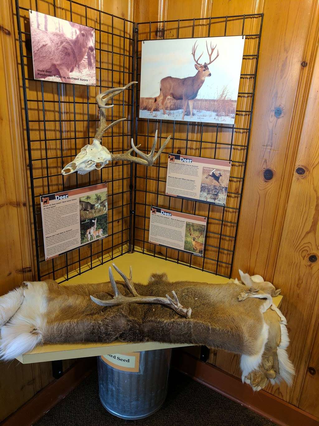 Morrison Nature Center | 16002 E Smith Rd, Aurora, CO 80011, USA | Phone: (303) 326-8445