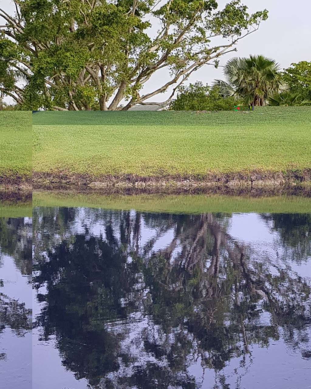 Cypress creek greenway/ Bike Path | Margate, FL 33068, USA
