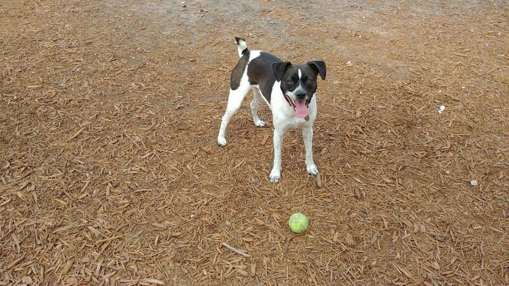 Viera Bark Park | Across from Strom Park Dr, Lake Andrew Dr, Melbourne, FL 32940, USA