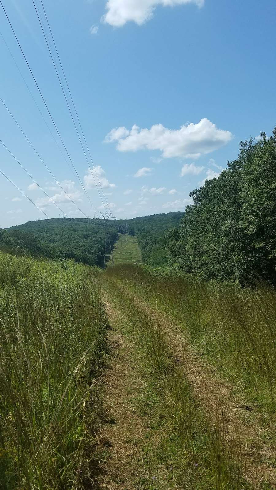 James Andrews Memorial County Park | W Hanover Ave, Randolph, NJ 07869, USA