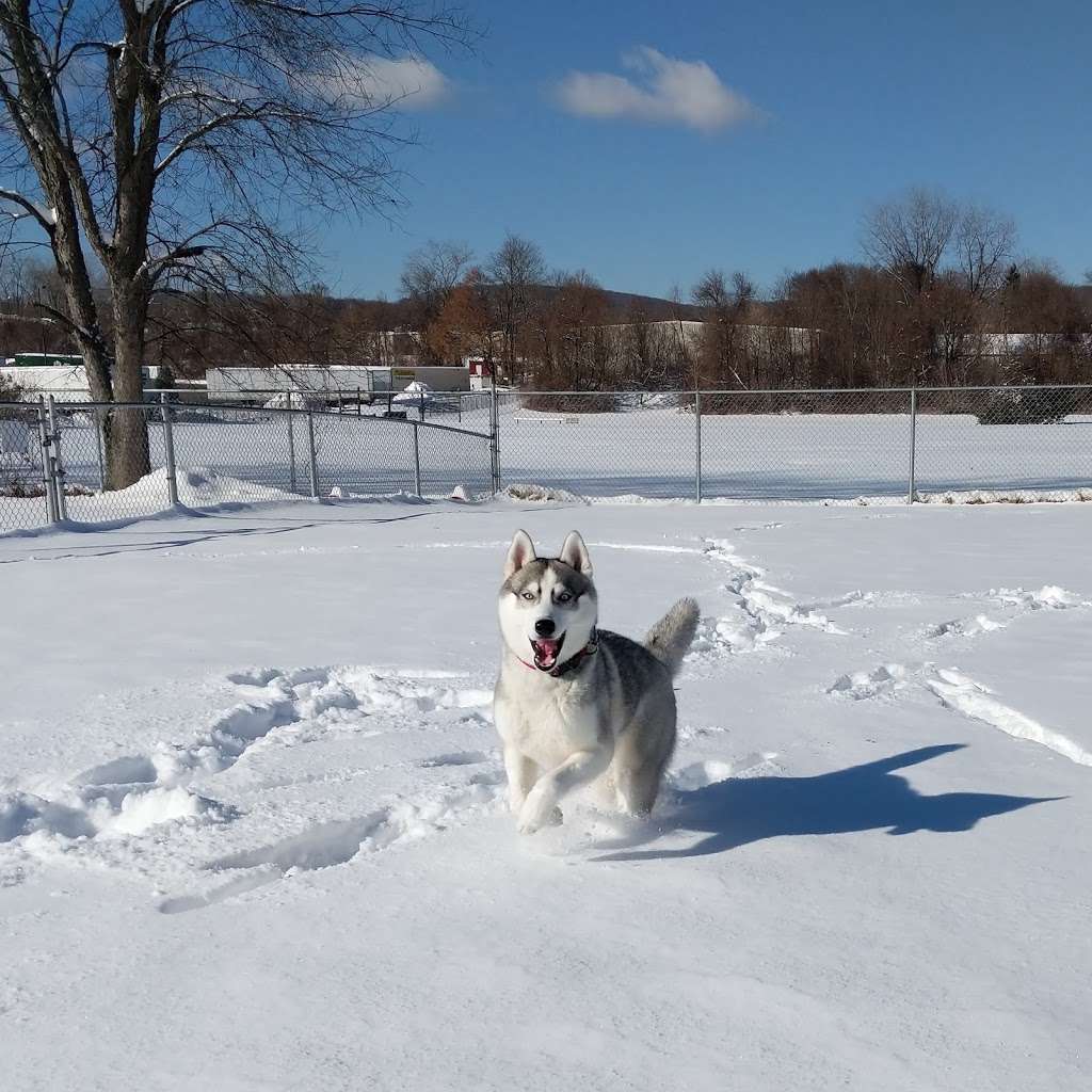 Candlewoof Dog Park | 44 Pickett District Rd, New Milford, CT 06776, USA