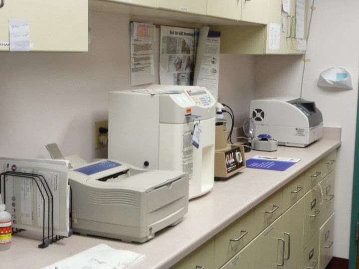 Four Seasons Animal Hospital | 10624 Randolph St, Crown Point, IN 46307, USA | Phone: (219) 663-8387