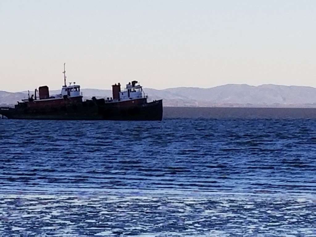 San Francisco Bay National Estuarine Research Reserve | San Rafael, CA 94901, USA | Phone: (415) 338-3707