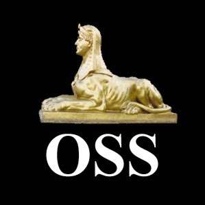 OSS Law Enforcement Advisors & OSS Academy | 19018 Candleview Dr, Spring, TX 77388, USA | Phone: (281) 288-9190