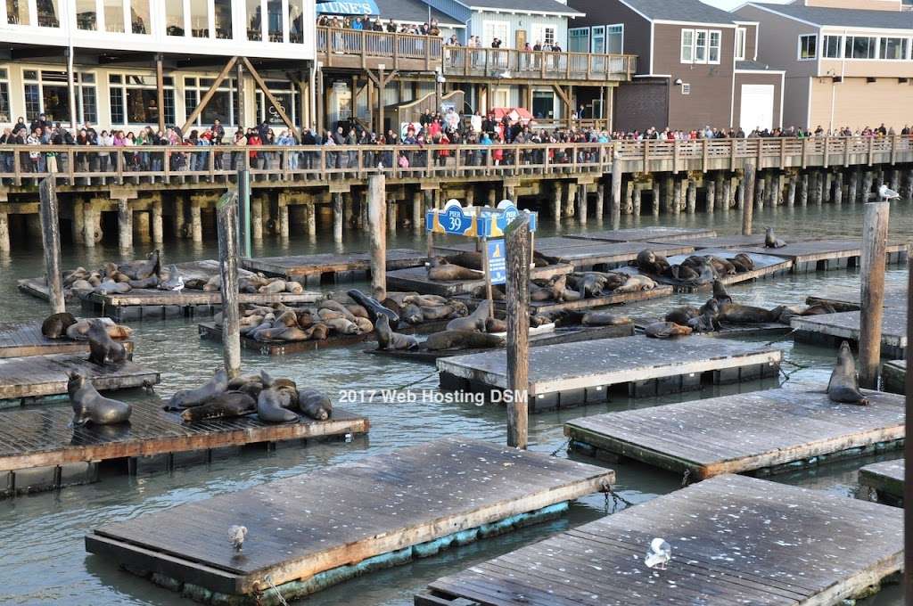 Blue and Gold Fleet / Pier 39 | Pier 41, San Francisco, CA 94133, USA | Phone: (415) 705-8200