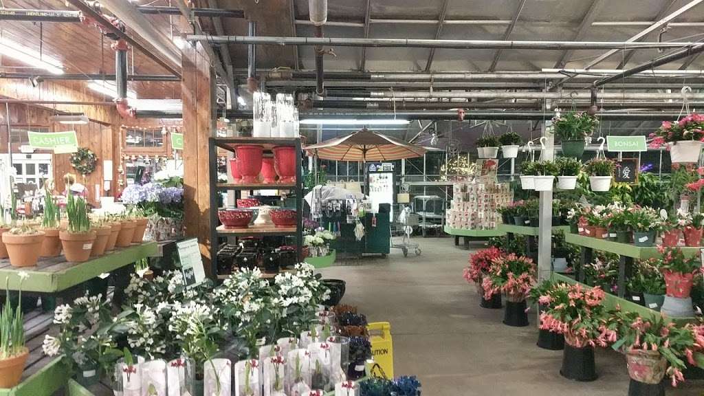 Mahoneys Garden Center | 242 Cambridge St, Winchester, MA 01890, USA | Phone: (781) 729-5900