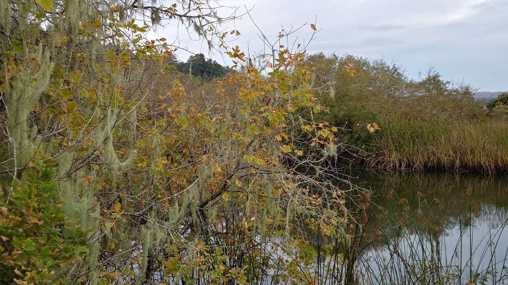 White House Pool Park | Sir Francis Drake Blvd, Point Reyes Station, CA 94956, USA | Phone: (415) 473-6387