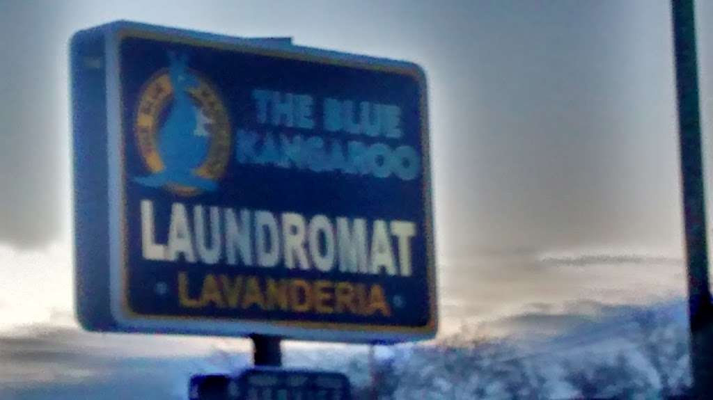 Blue Kangaroo Coin Laundry | 2212 Washington St, Waukegan, IL 60085, USA | Phone: (847) 662-4700