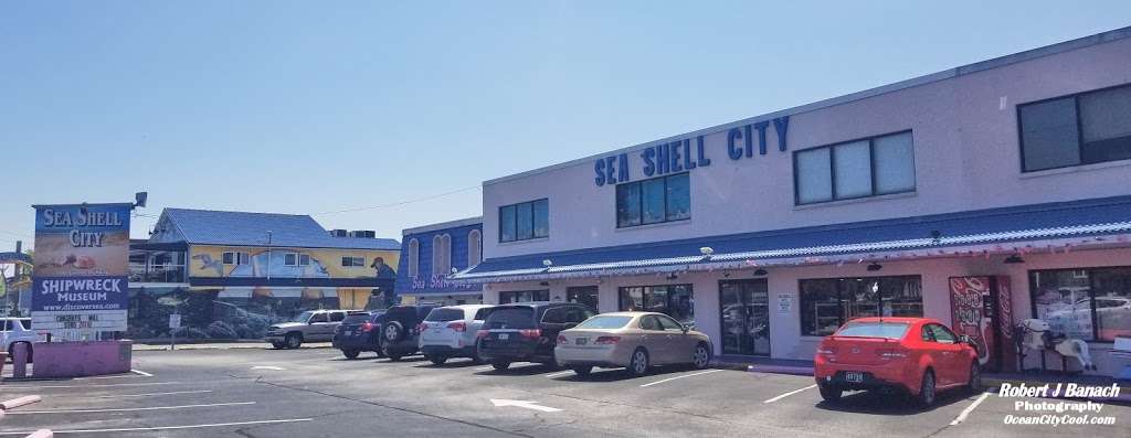 Sea Shell City, Inc | 708 Coastal Hwy, Fenwick Island, DE 19944, USA | Phone: (302) 539-9366