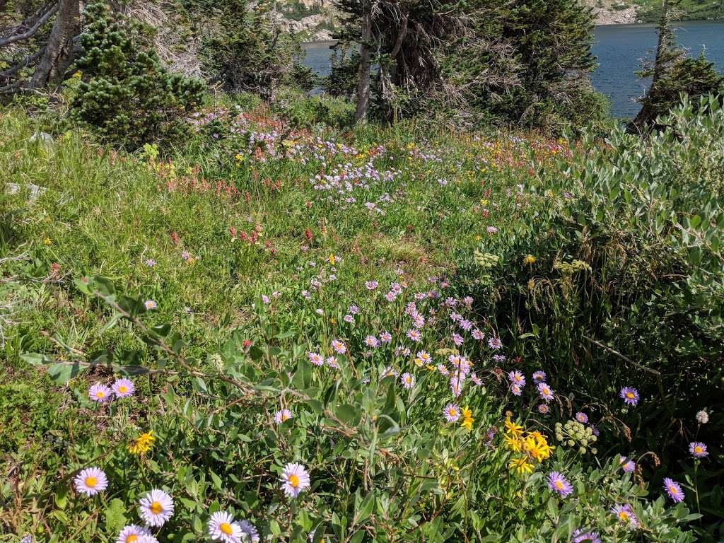 Loch Lomond Trail | Loche, Lommond Hike, Idaho Springs, CO 80452, USA