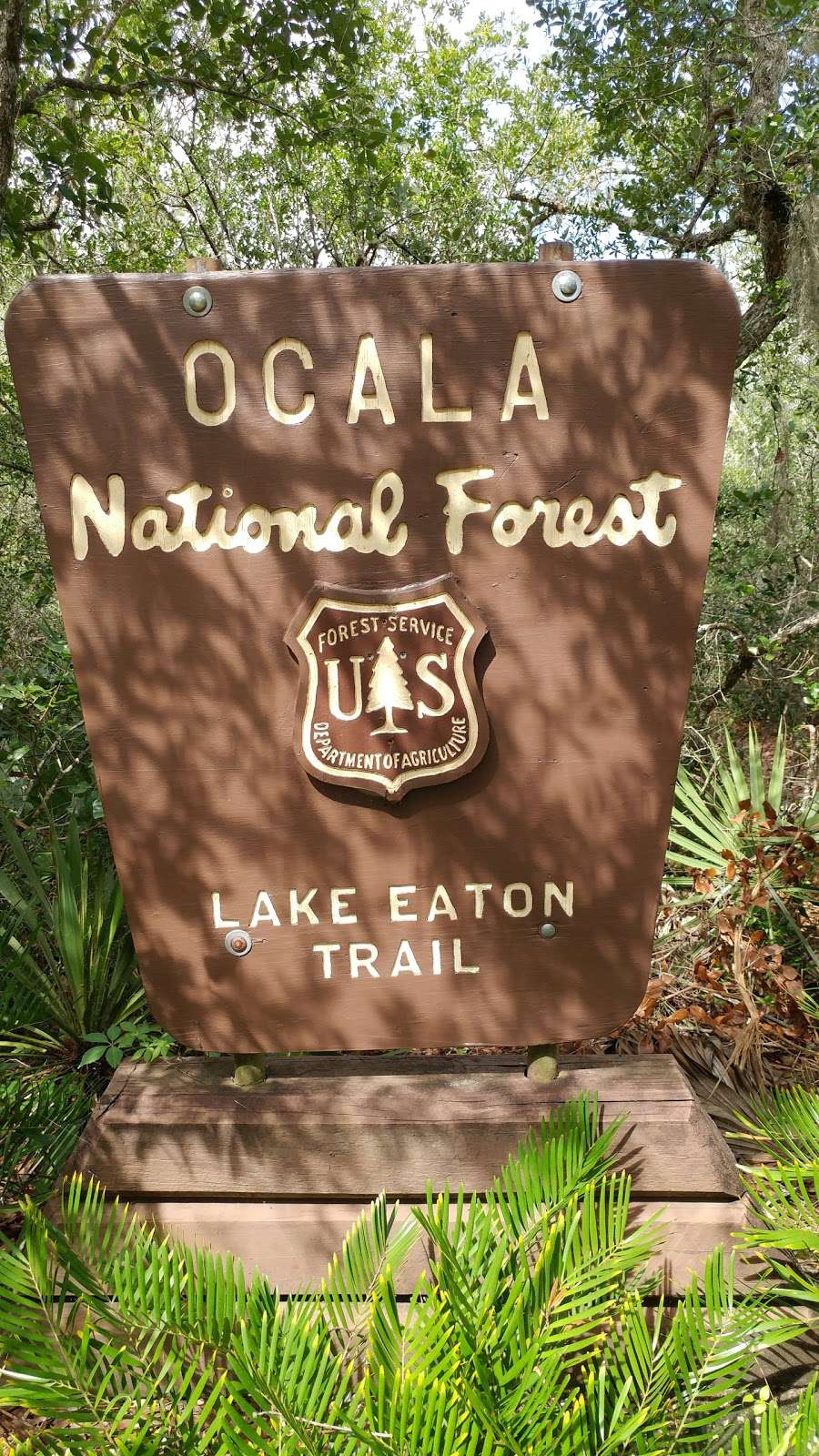 Lake Eaton Trail Head | Silver Springs, FL 34488, USA