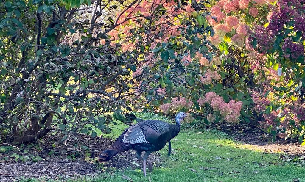 University of Wisconsin Madison Arboretum Visitor Center | 2880 Longenecker Dr, Madison, WI 53713, USA | Phone: (608) 263-7888