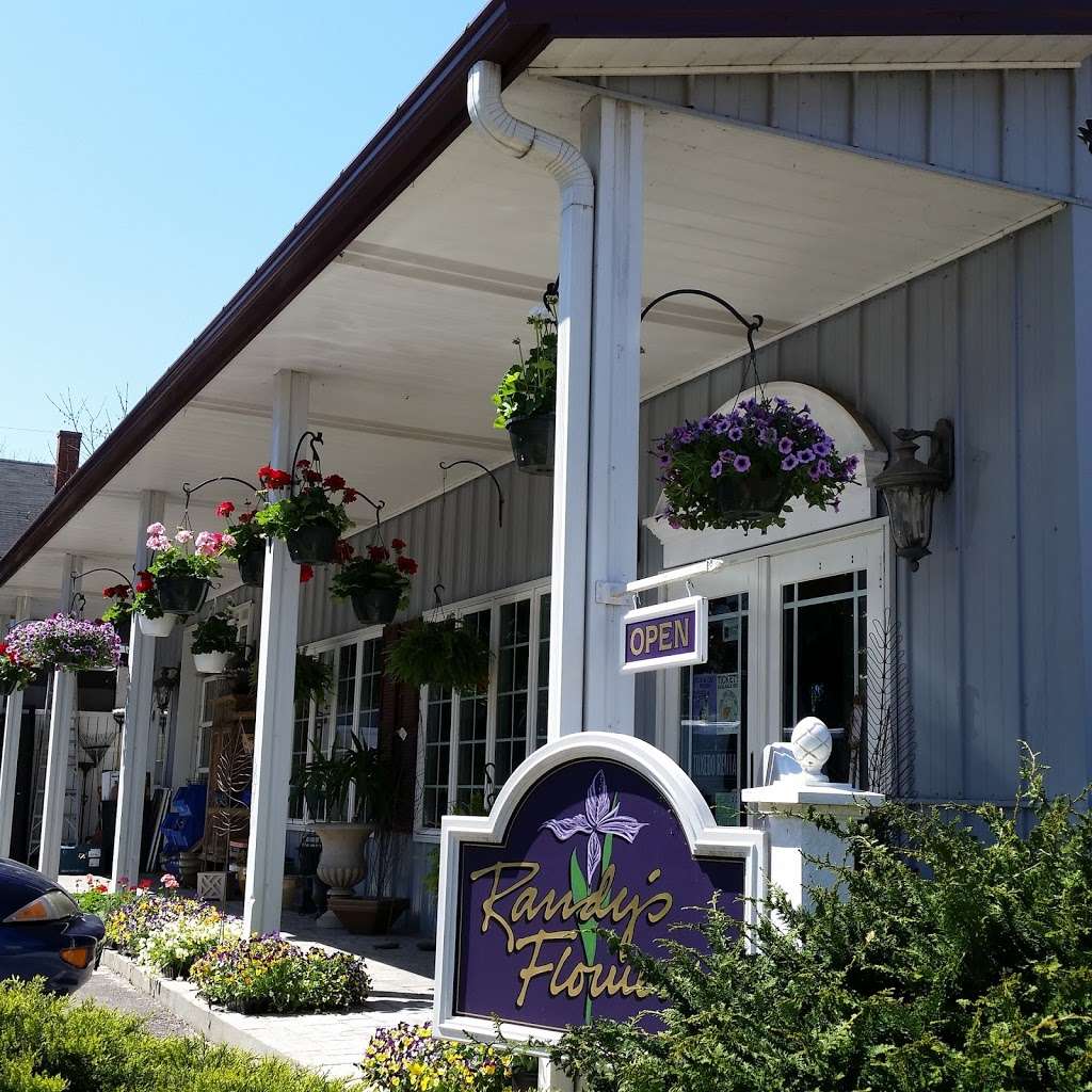 Endless Creations Flowers and Gifts | 211 W Evans St, Culpeper, VA 22701, USA | Phone: (540) 825-4440