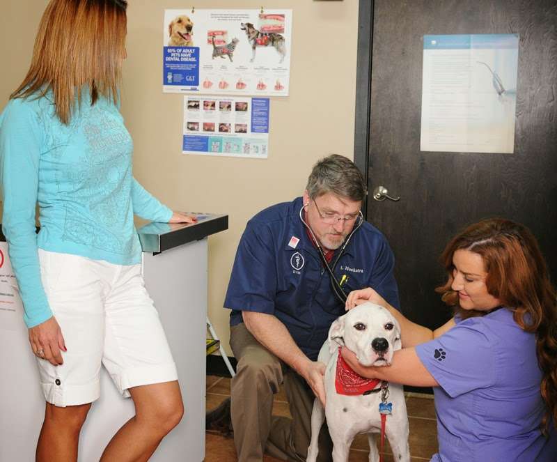 Animal House Veterinary Hospital | 2640 E League City Pkwy #130, League City, TX 77573, USA | Phone: (281) 334-3743