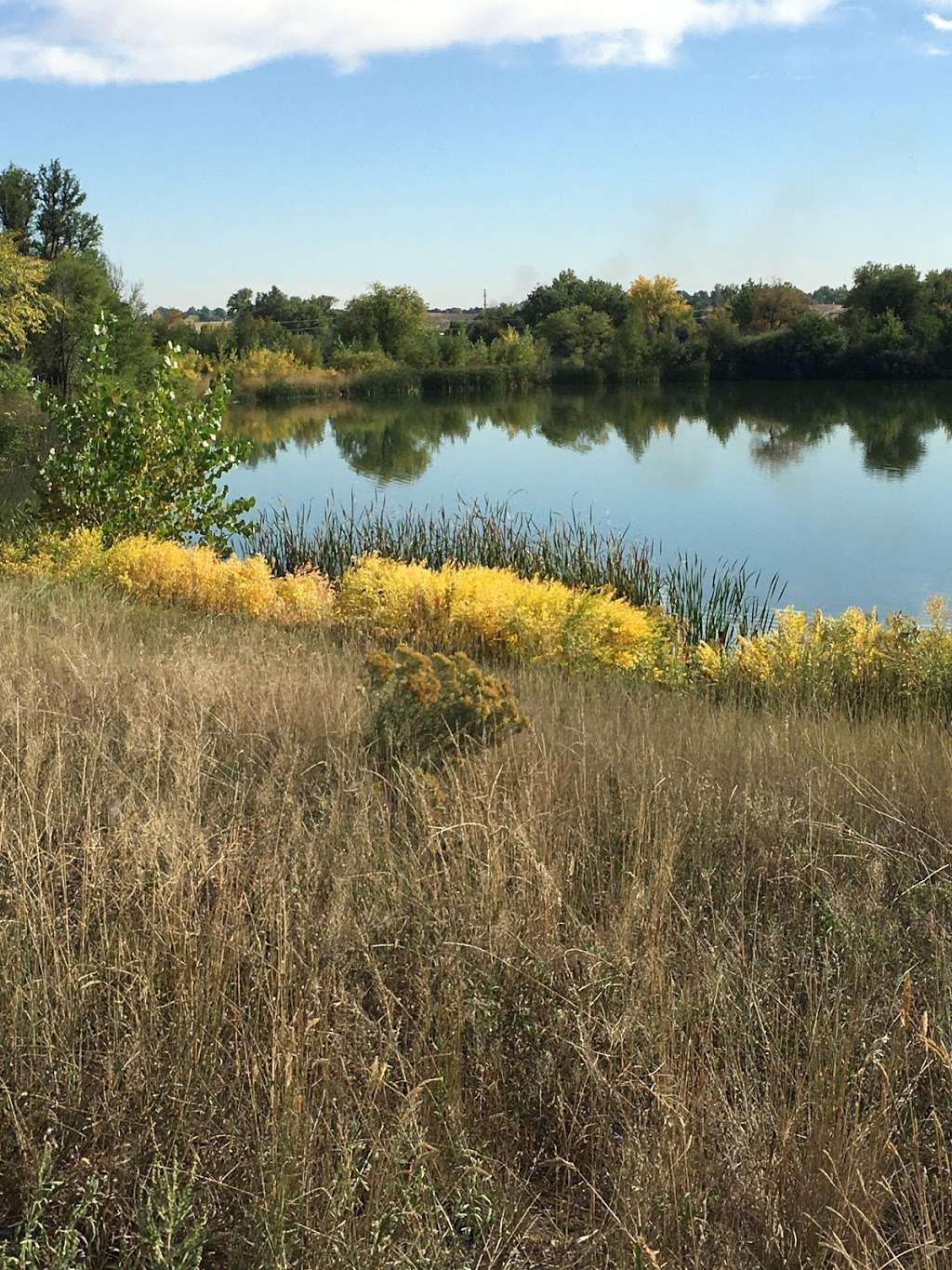 Rivers edge natural area | Loveland, CO 80537, USA