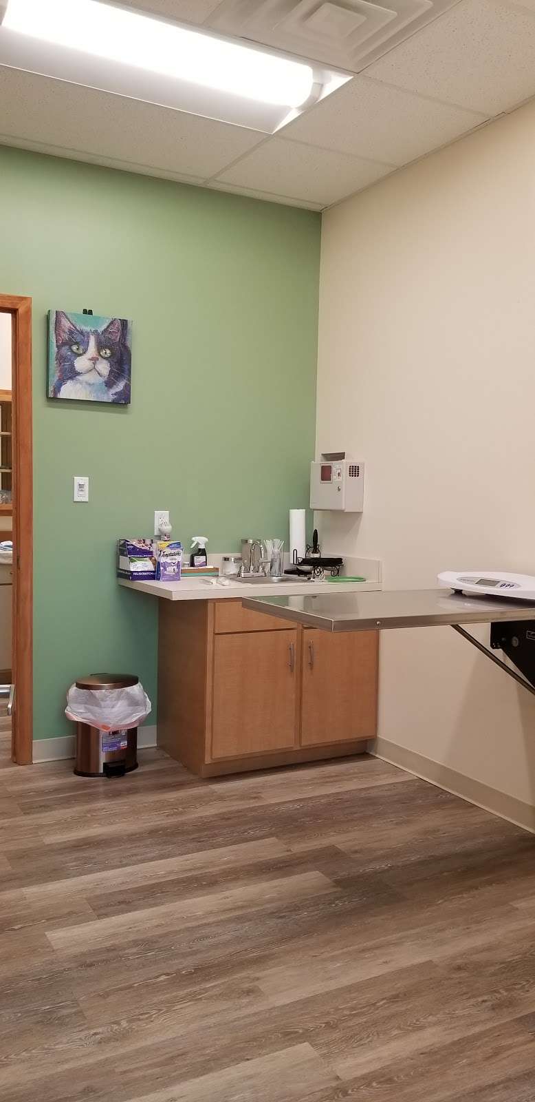 Haven Veterinary Clinic | 10555 Pearland Pkwy suite k, Houston, TX 77089, USA | Phone: (713) 344-1570