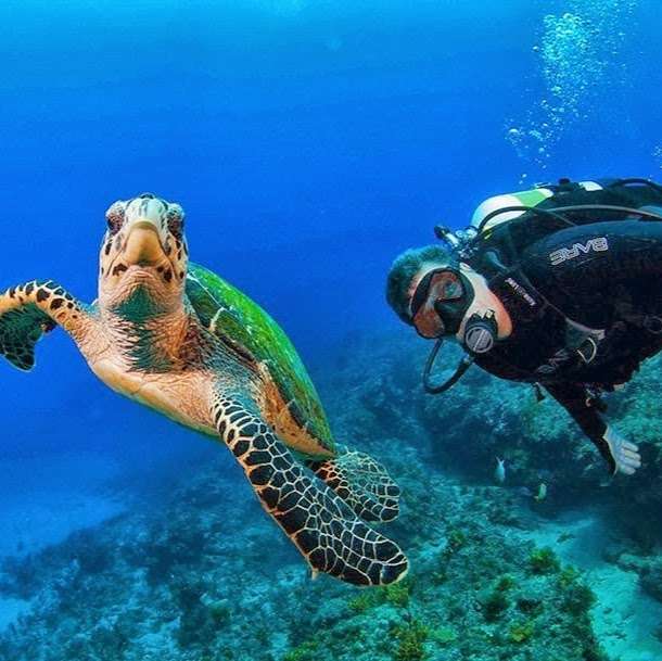 Jupiter Scuba Diving | 1111 Love St, Jupiter, FL 33477, USA | Phone: (855) 575-3483