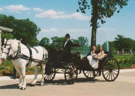 Buggies and Things Horse Drawn Carriage Service | 488 E 1000 N, Chesterton, IN 46304, USA | Phone: (219) 926-6936