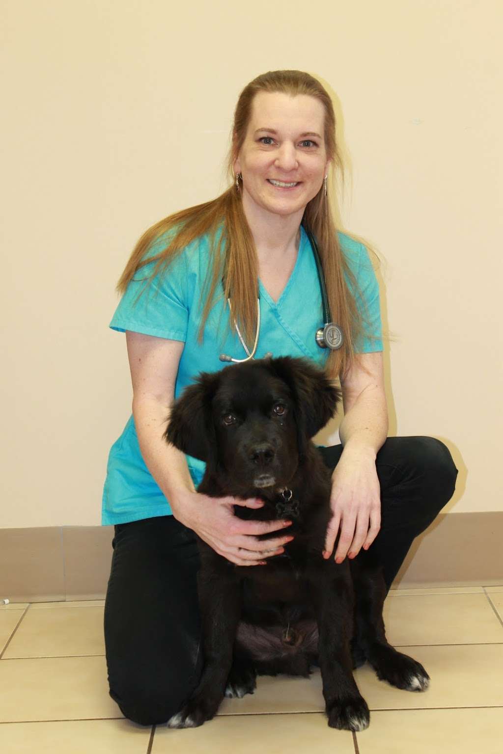 Lehigh Valley Animal Hospital | 7161 Beth Bath Pike, Bath, PA 18014 | Phone: (610) 837-6188