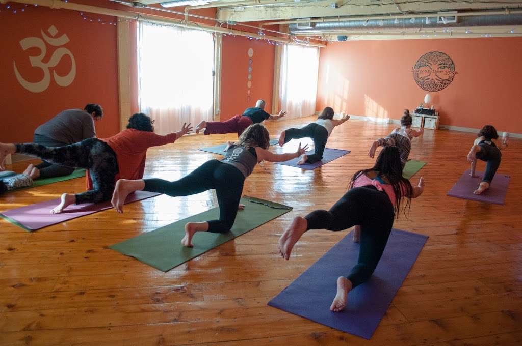 Banyan Tree Yoga - Nashua, NH | 5, Pine St Ext #2a, Nashua, NH 03060, USA | Phone: (603) 889-1121